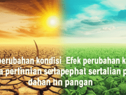 Efek perubahan kondisi  kepada pertanian serta daya tahan pangan