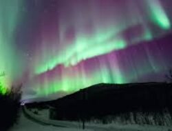 Cara Merencanakan Trip ke Tromsø Agar Bisa Menyaksikan Northern Lights