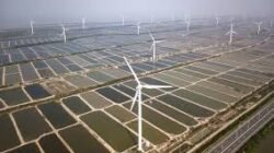 Kapasitas EBT (Energi Baru Terbarukan) RI Semakin Menarik bagi Perusahaan IPO