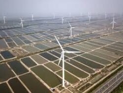 Kapasitas EBT (Energi Baru Terbarukan) RI Semakin Menarik bagi Perusahaan IPO