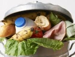 Cara Mengurangi Food Waste Dengan Mengatur Stok Makanan Di Dalam Lemari Es